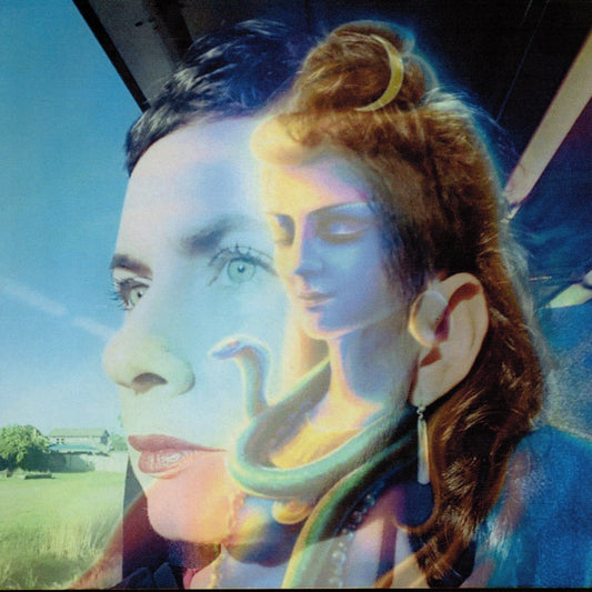 The Transformative Power of Art: How Creativity Shapes Our Lives